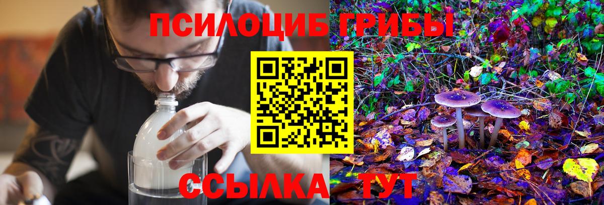 Псилоцибиновые грибы ЛСД Менделеевск