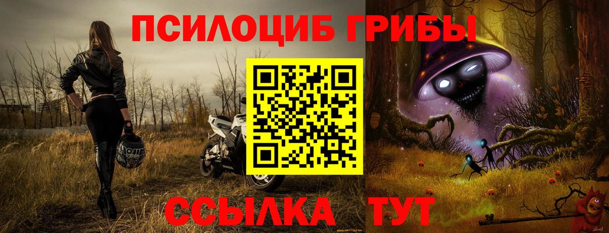 Менделеевск  Галлюциногенные грибы MAGIC MUSHROOMS  Вход с VPN  продажа наркотиков  Галлюциногенные грибы MAGIC MUSHROOMS 
